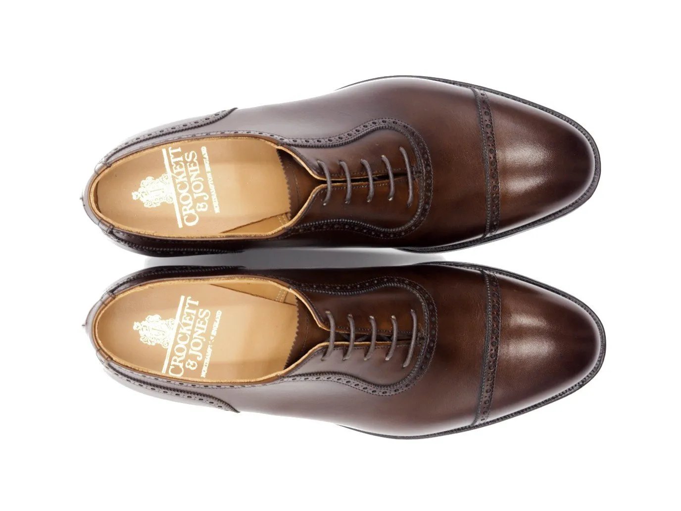 Macquarie 2 Dark Brown Burnished Calf